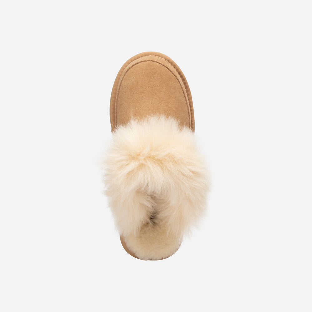 UGG Daniela Premium Platform Slipper (Elastic Logo & Wool Strap – Detachable)