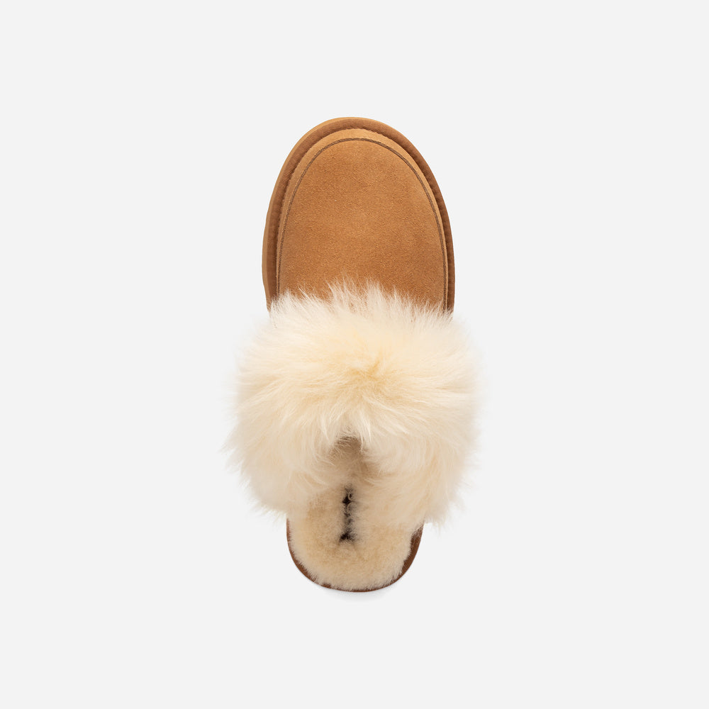 UGG Daniela Premium Platform Slipper (Elastic Logo & Wool Strap – Detachable)